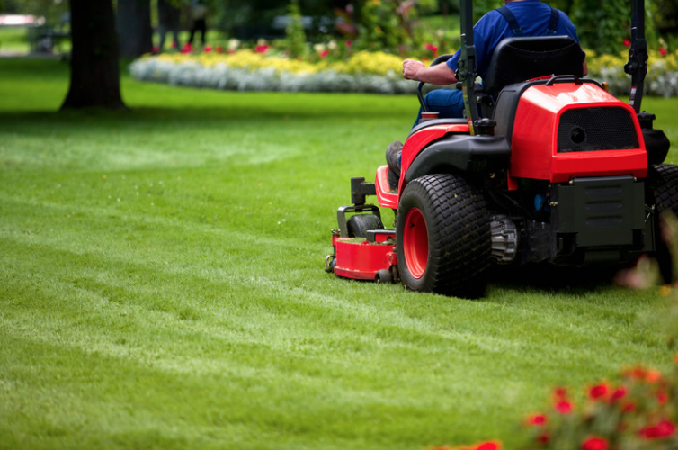 lawn mowing in park city